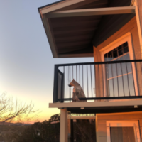 A dog sitting in the deck of a 2 story home looking at the sunset